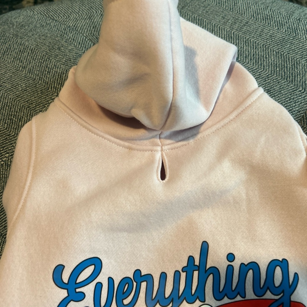 Rainbow Brite Pink Dog Hooded Sweatshirt Pet Hoodie Size Large- NWT - Picture 3 of 13